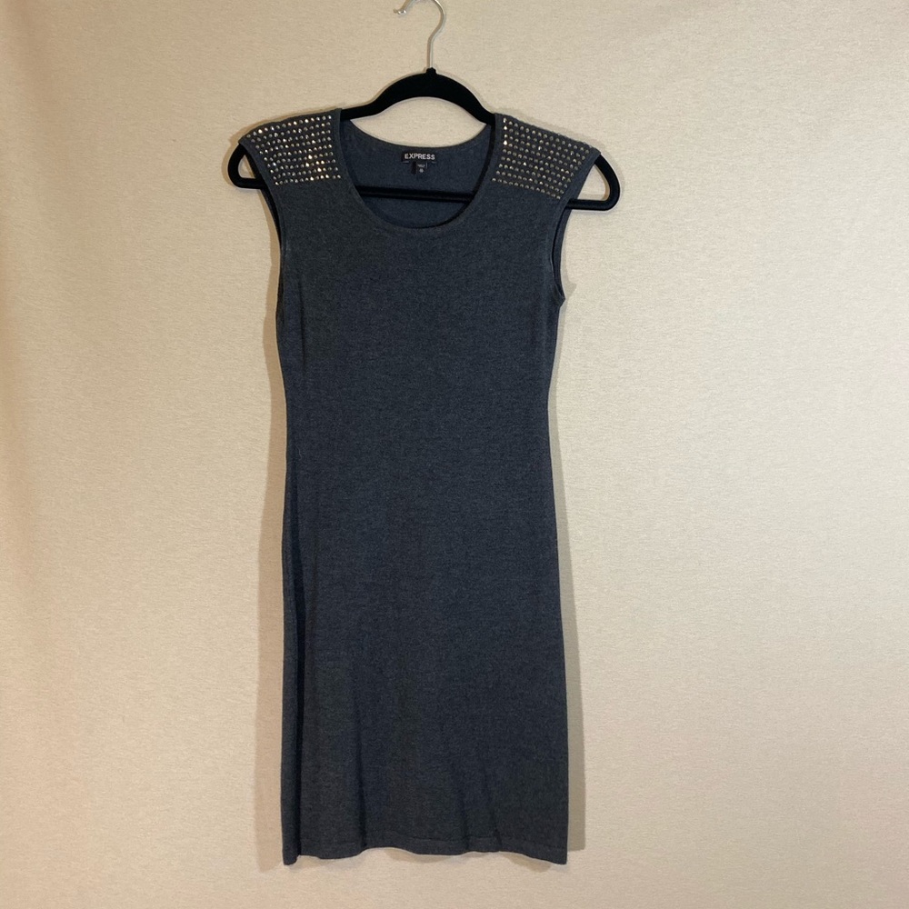 Express Sleeveless Sweater Dreaa